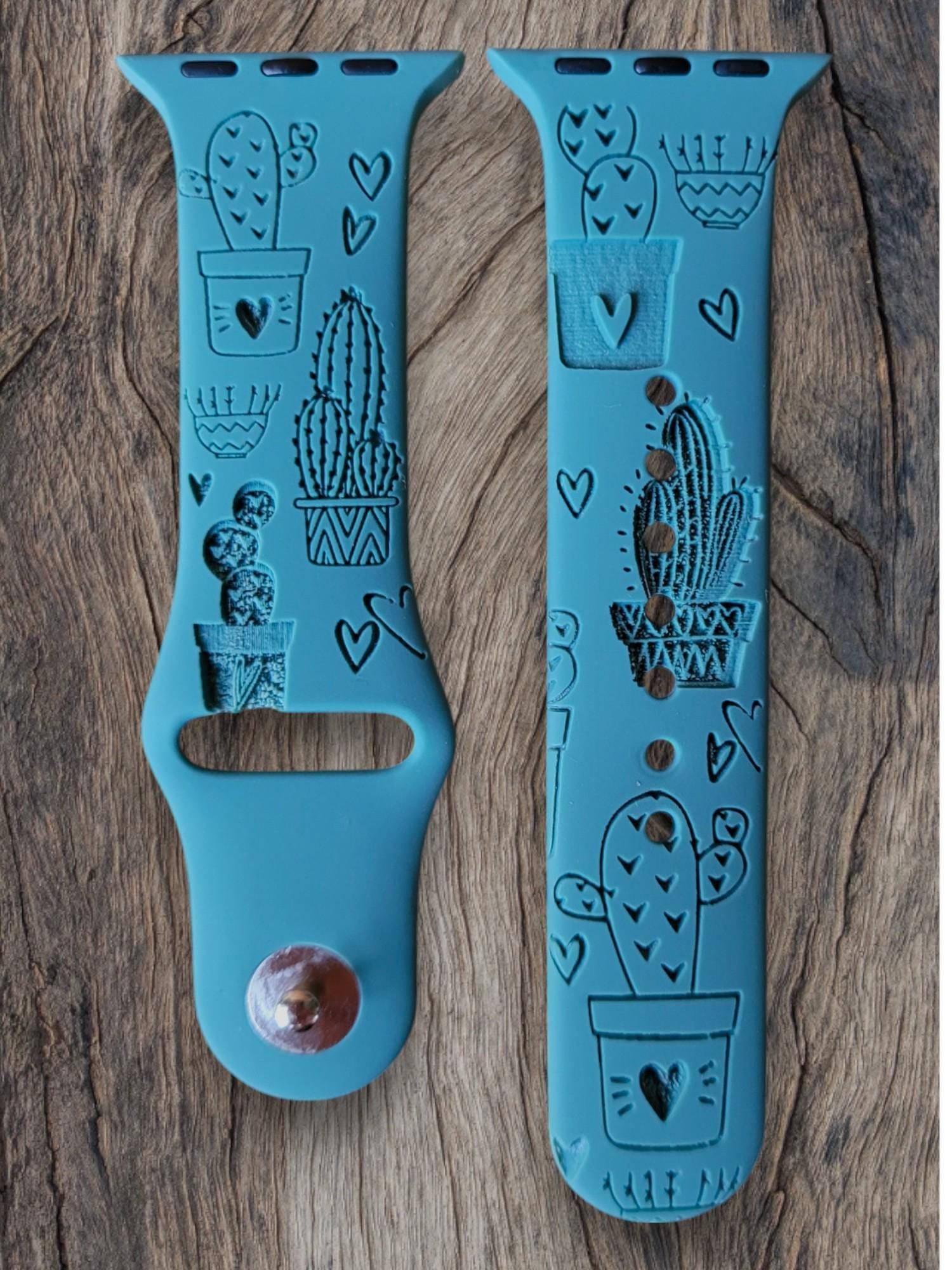 CACTUS, SUCCELENTS, SOUTHWEST