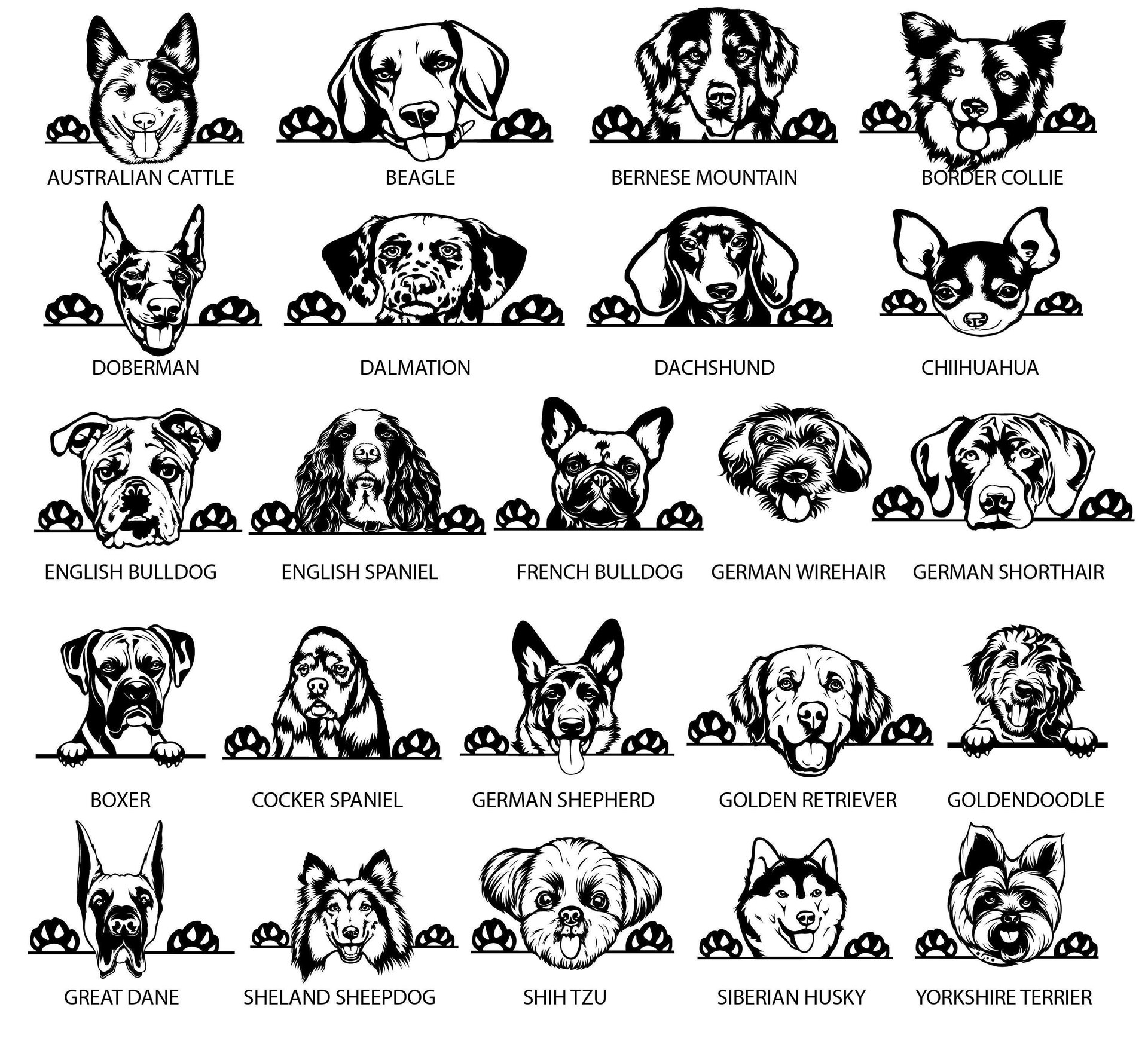 DOG BREED, NAME, PAW PRINTS