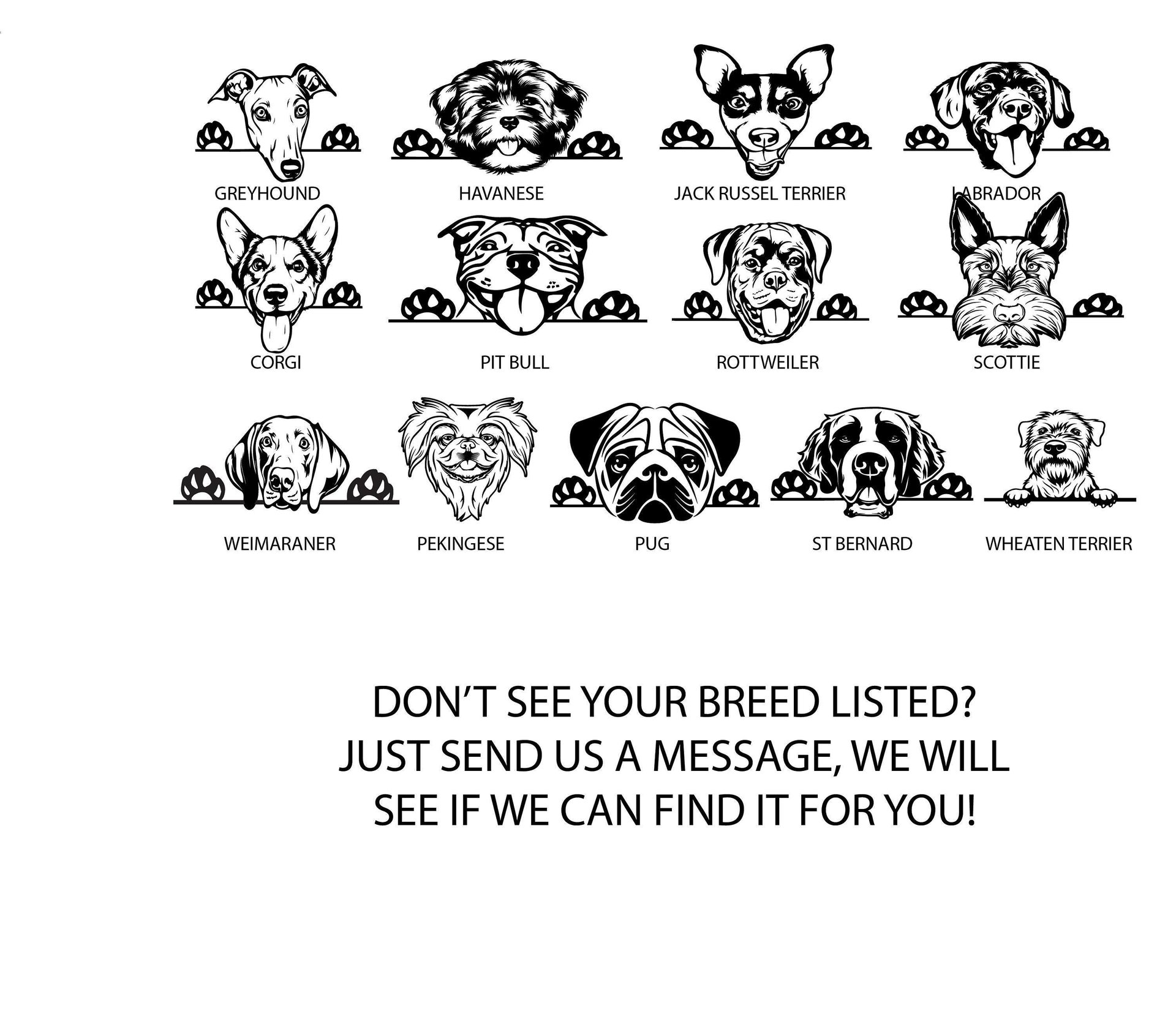 DOG BREED, NAME, PAW PRINTS